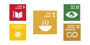 Food-related SDGs
